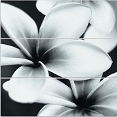  Universal Glass Flowers 75x75 (UG2U093D)